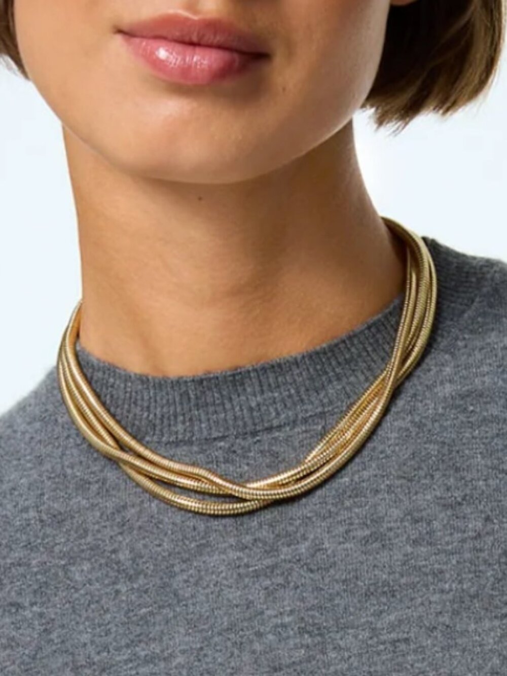 Roxanne Assoulin The Short Snake Chain Necklace